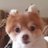 phillybirds's profile image
