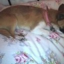 danielle - @danielle_hood16 - Twitter