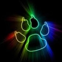 JFK STLP (@jfkstlp) 's Twitter Profile