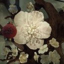 Dana Tuttle - @dl_tuttle - Twitter