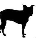 Wendy Hendricks - @wendyhen2 - Twitter