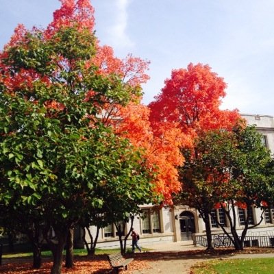 The unofficial twitter account of the University of Arkansas Class of 2018! No affiliation with the university. #WPS #UArk2018FollowTrain #UARK2018