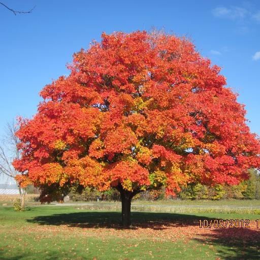 Liberal Lover of Life active for life liberty  and pursuit of happiness for all.