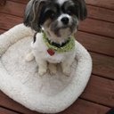 Laura Ryan - @lauradryan22 - Twitter