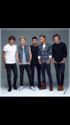 Nos meu olhos vocês são completamente tudo,tudo e mais um pouco, que talvez seja muito..❤ Zayn Malik , Liam Payne , Louis Tomlison , Niall Horan e Harry Styles
