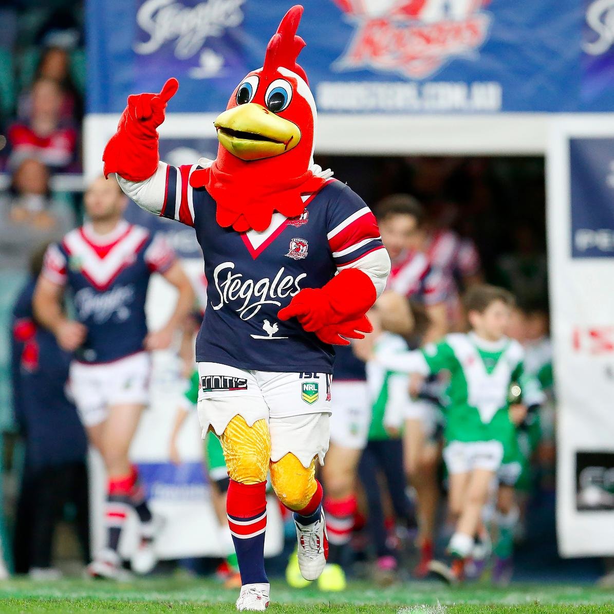 Rocky The Rooster Profile