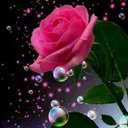 الحنون (@1392F) Twitter