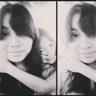 The Vamps,One Direction, Ed Sheeran, Five Seconds of summer,CD9,Shawn Mendes and food.        ✌Ciao✌      ❤Freddy Girl❤