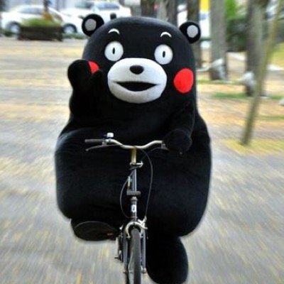 酒と読書と旅と自転車が大好きです。 周りにはくまモンとかジャイアンとか呼ばれています。