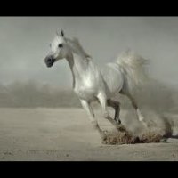 عبدالله | 阿卜杜拉 (@abdullah9677) Twitter profile photo