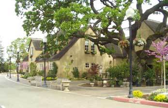 aldenlane's profile picture. Five beautiful acres of plants and everything you need to have a great garden!