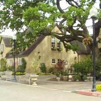 Alden Lane Nursery (@aldenlane) 's Twitter Profile