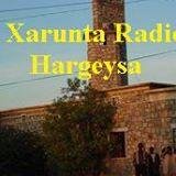 Radio Hargaysa waa Iddaacada ugu da'da weyn Idaacaddaha ku hadla Afka Somaliga ee Geeska Afrika iyo Caalamkaba.