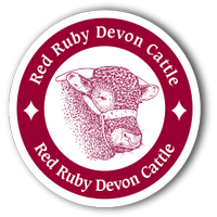 Red Ruby Devon (@redrubydevon) 's Twitter Profile