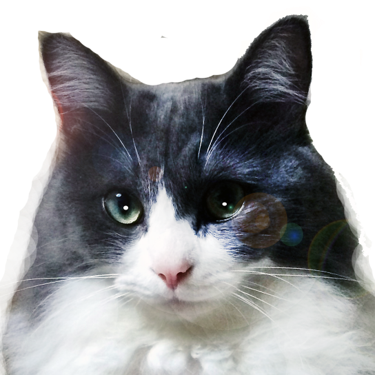 TUTLab1's profile picture. 