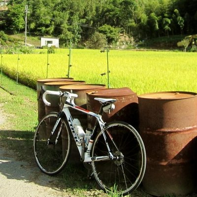 竹輪マドン 芸能人やタレントの薬物案件のストックは必ずあって 時の政権がピンチになると打ち上げられる 今回の生贄は沢尻エリカ 桜を見る会疑獄 は公金を使った買収行為だ こんなチンピラ政権をいつまで許すのか 竹輪マドン 芸能人やタレントの薬物案件のストックは必ずあって 時の政権がピンチになると打ち上げられる 今回の生贄は沢尻エリカ 桜を見る会疑獄 は公金を使った買収行為だ こんなチンピラ政権をいつまで許すのか