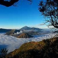 KujangSapala's profile picture. laa tufsidu fil ard ba'da islaahihaa