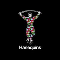 Harlequins Academy(@QuinsAcademy) 's Twitter Profile Photo