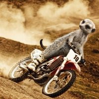 Simon Milenko (@milenko_15) 's Twitter Profile