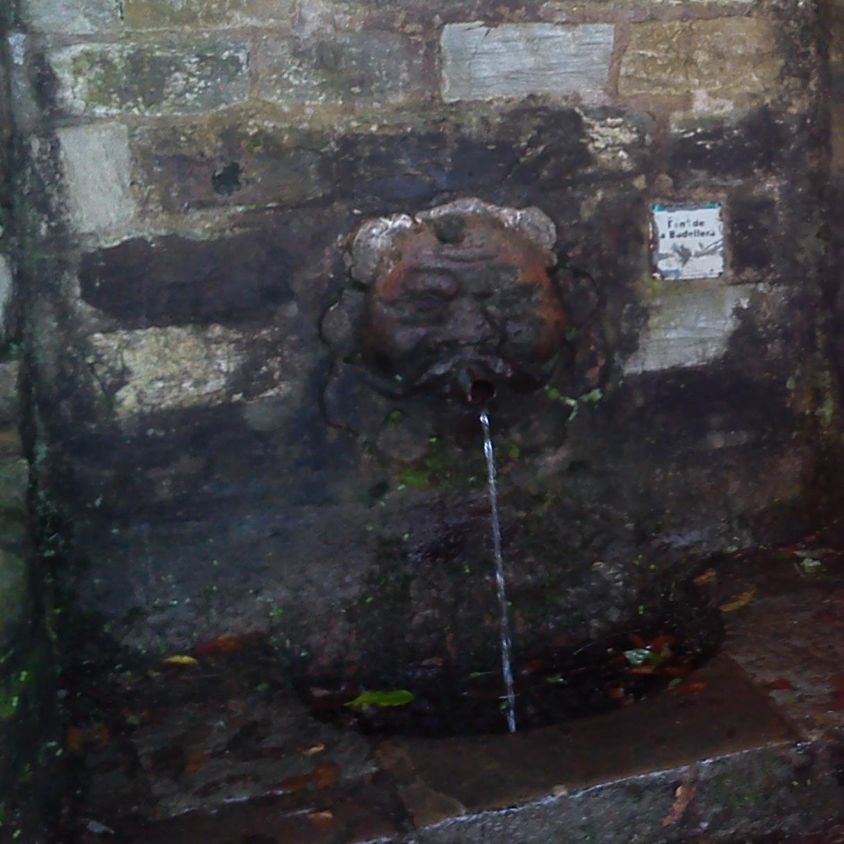 barcelona_views's profile picture. Everyday pics and comments on BCN