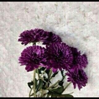 سبحان الله وبحمده سبحان الله العظيم.