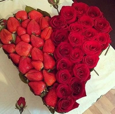 salvado18751109's profile picture. Salvador ortega