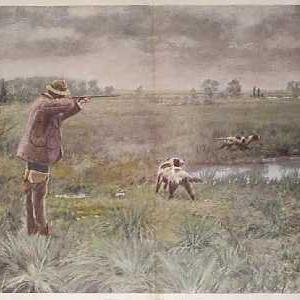 Four Decades of promoting ethical hunting, game management & conservation
https://t.co/uchoeOJZ9M