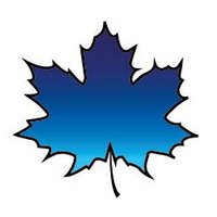 Creantum Girona (@creantumgirona) 's Twitter Profile