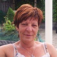 Vermiste en gevonden dieren Zeeland / gevonden honden Benelux en Duitsland / Vermiste honden, help zoeken