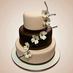 Too busy planning everything else for your wedding? Need a shortcut finding a good wedding cake? Your choice in wedding cake design isproclamation about your pe