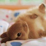 uehara093's profile picture. 