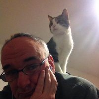 Michael Johnson (@mikeatgu) 's Twitter Profile