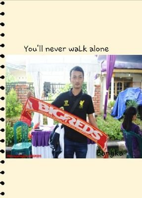 YOU''LL NEVER WALK ALONE