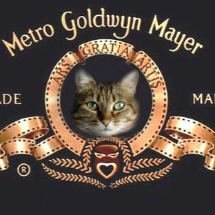 好物は地元、美味しいもの、猫ちゃん。 ここで色々な知識を得ています。この歳でも知らないこといっぱいあって、吸収出来るってありがたい🙏 日本保守党員です。