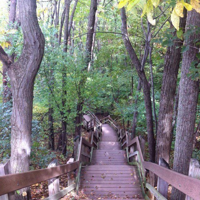 Believer in the healing of Nature and laughter. Follower of the divine Love

#AllyInProgress