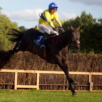 Winning Ways Racing (@winningwaysr) 's Twitter Profile