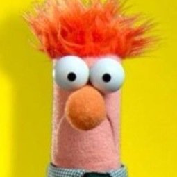 FacepalmFPL's profile picture. Relax, we all do a Facepalm from time to time... Get tagged twice though and you can safely assume you're a full on #FPL idiot