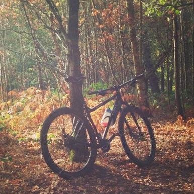 CharnwoodMTB's profile picture. Campaigning for Sustainable Mountain Bike Access in the Charnwood area of Leicestershire.