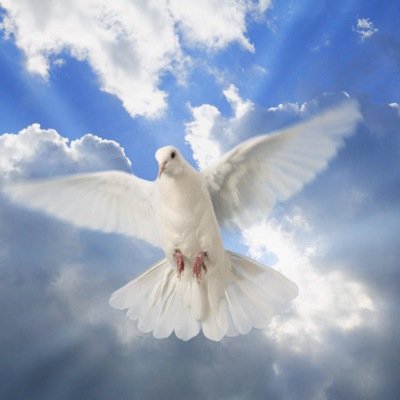 Servant of the Most High God. Voice of the Voiceless Ministry. OUR GOD REIGNS.