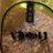 gaburi_sec's profile image