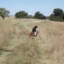 Elaine van Aswegen - @elaine35661135 - Twitter