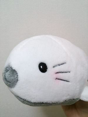 私の名前はミヤギレイナデス!!ちなみに小学6年生デス！