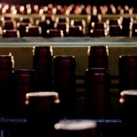 Campi Valerio (@valeriowines) 's Twitter Profile