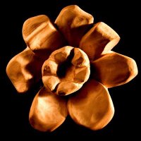 Rosa del Nord (@trail_rosa_nord) 's Twitter Profile Photo
