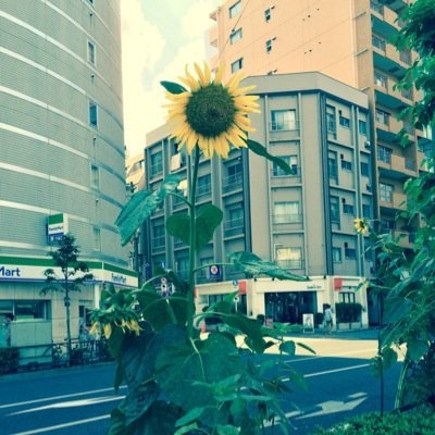 ひ