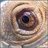 Igd7gfgOY4krUhg's profile image
