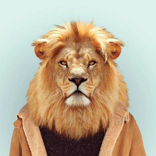 Monkeys Media is a full service communications and design house that can add marketing power to standalone projects or on-going campaigns.
