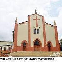We are Major Seminarians of Nebbi Catholic Diocese, under going formation to Catholic Priesthood to serve in this diocese