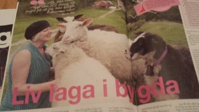 ostsamnanger's profile picture. 