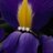 melthymoma1986's profile image